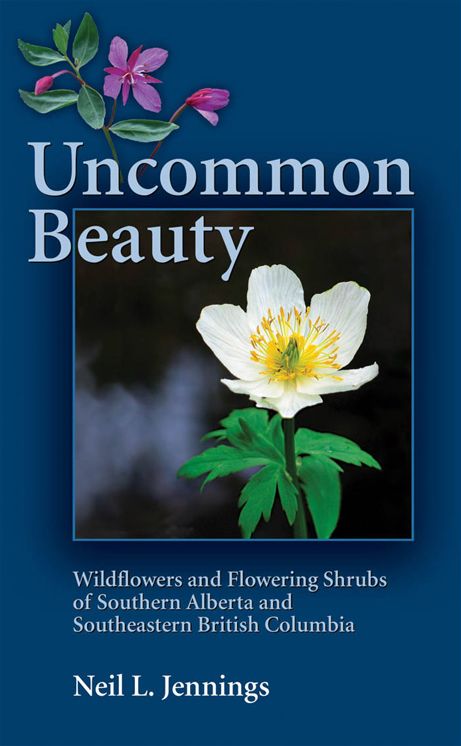 Uncommon Beauty: Wildflowers and Flowering Shrubs of Southern Alberta and Southeastern BC