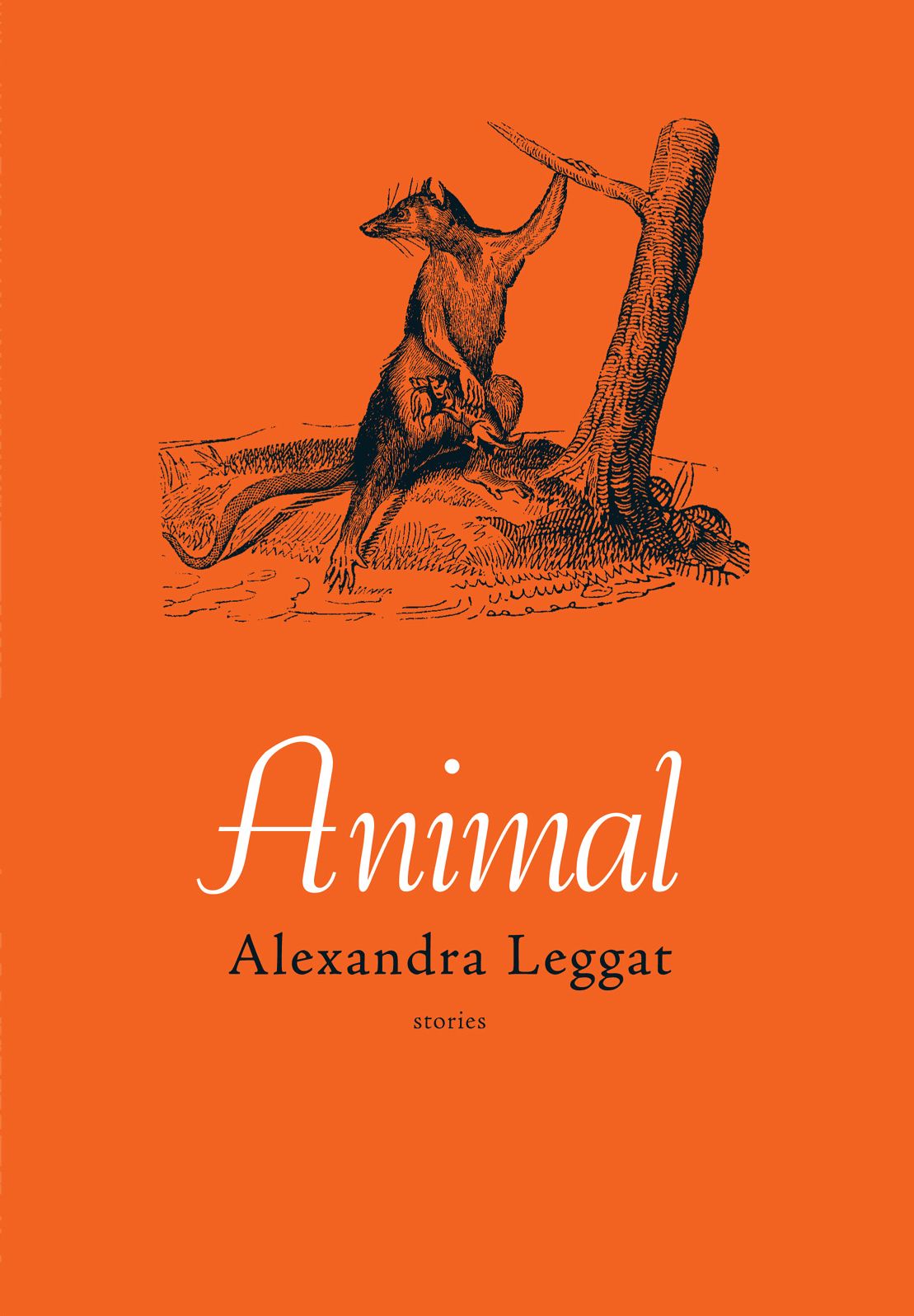 Animal