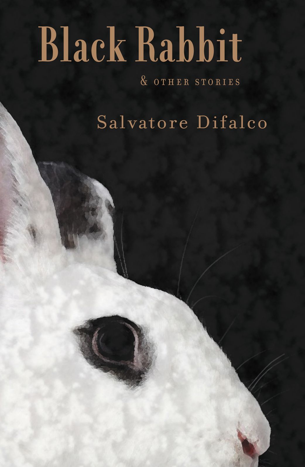 Black Rabbit and Other Stories
