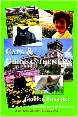 Cats and Chrysanthemums