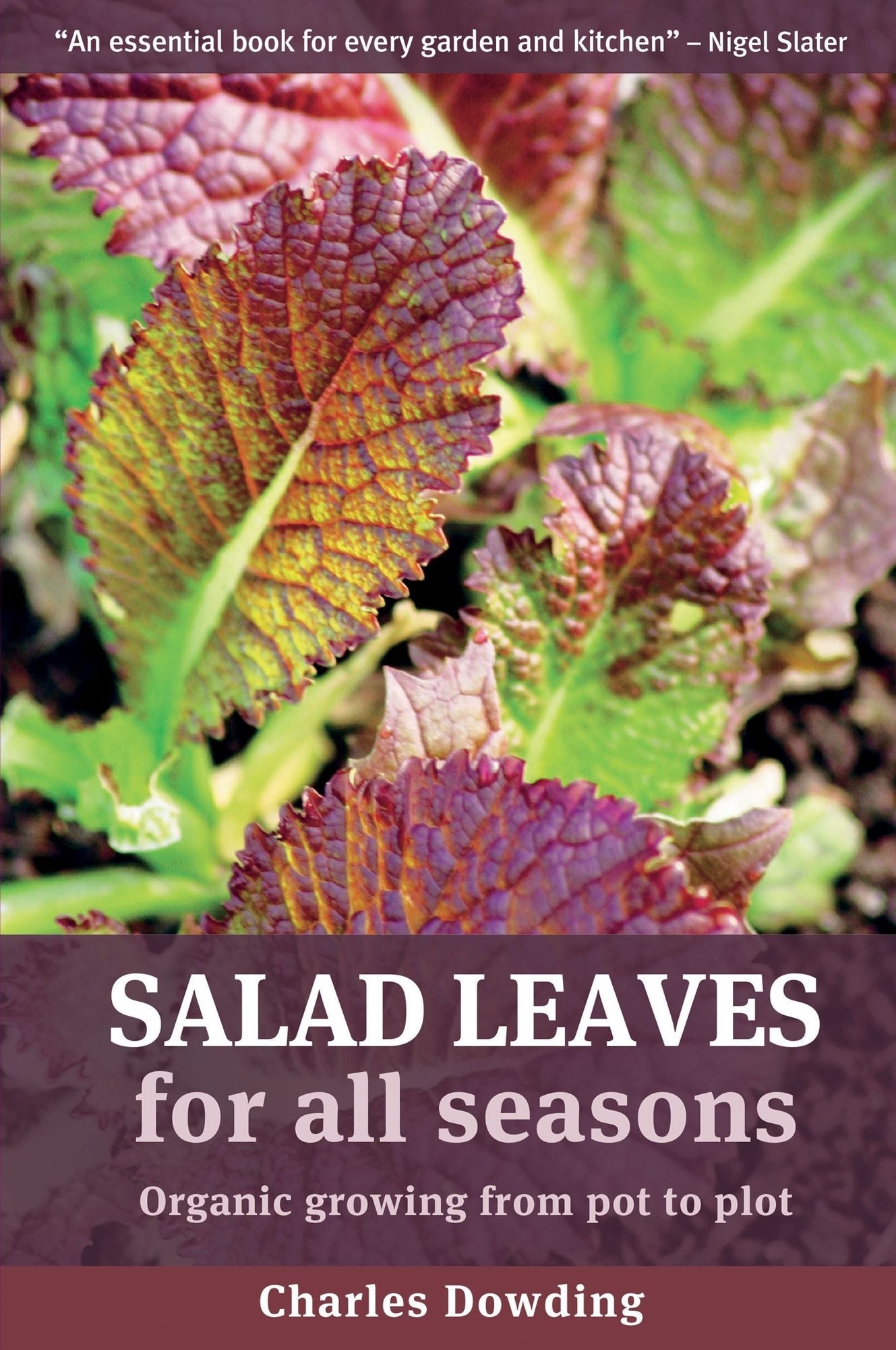 Salad Leaves for All Seasons: Organic Growing from Pot to Plot