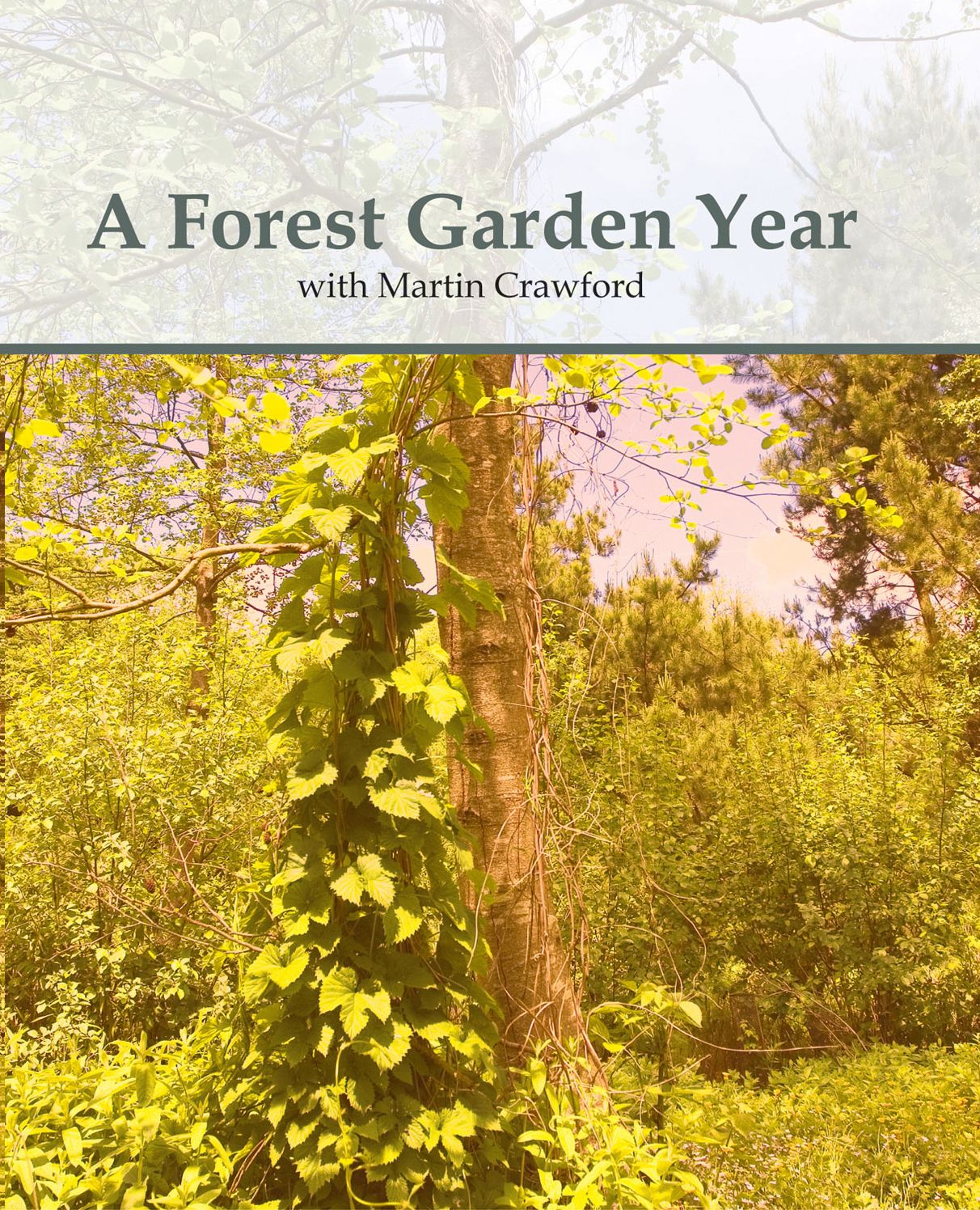 A Forest Garden Year