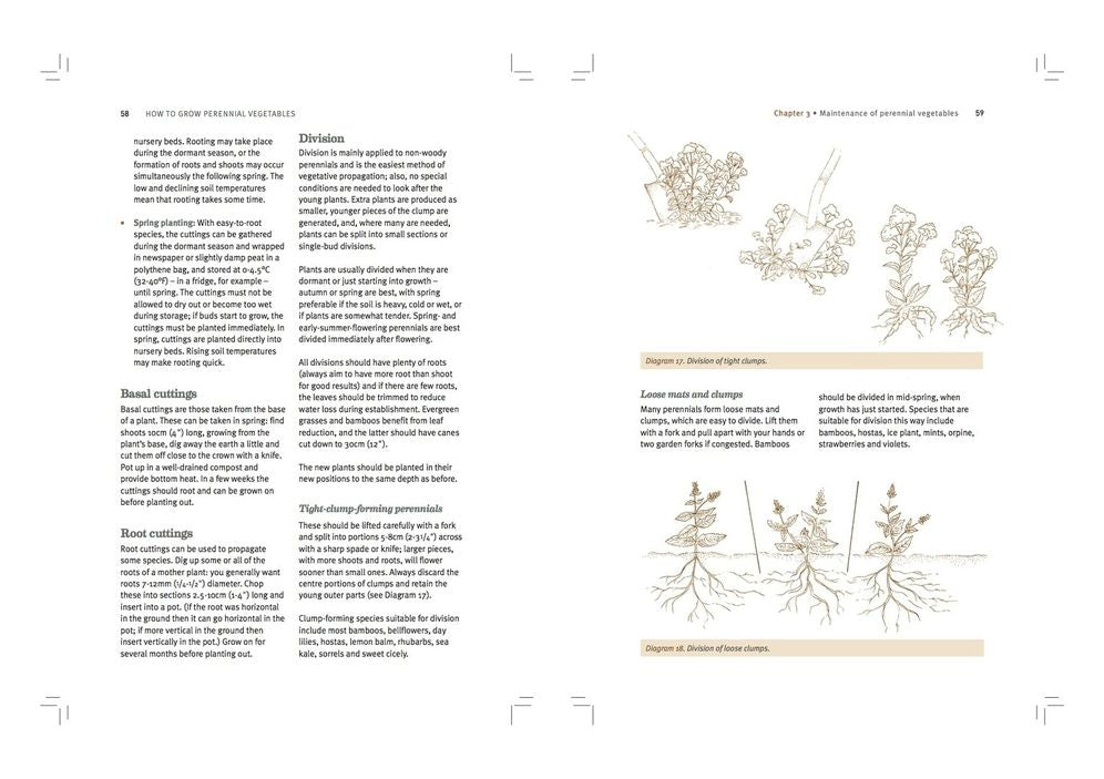 How to Grow Perennial Vegetables: Low-maintenance, Low-impact Vegetable Gardening