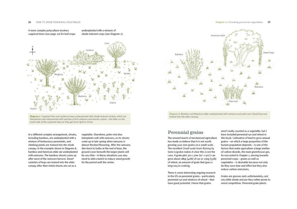 How to Grow Perennial Vegetables: Low-maintenance, Low-impact Vegetable Gardening