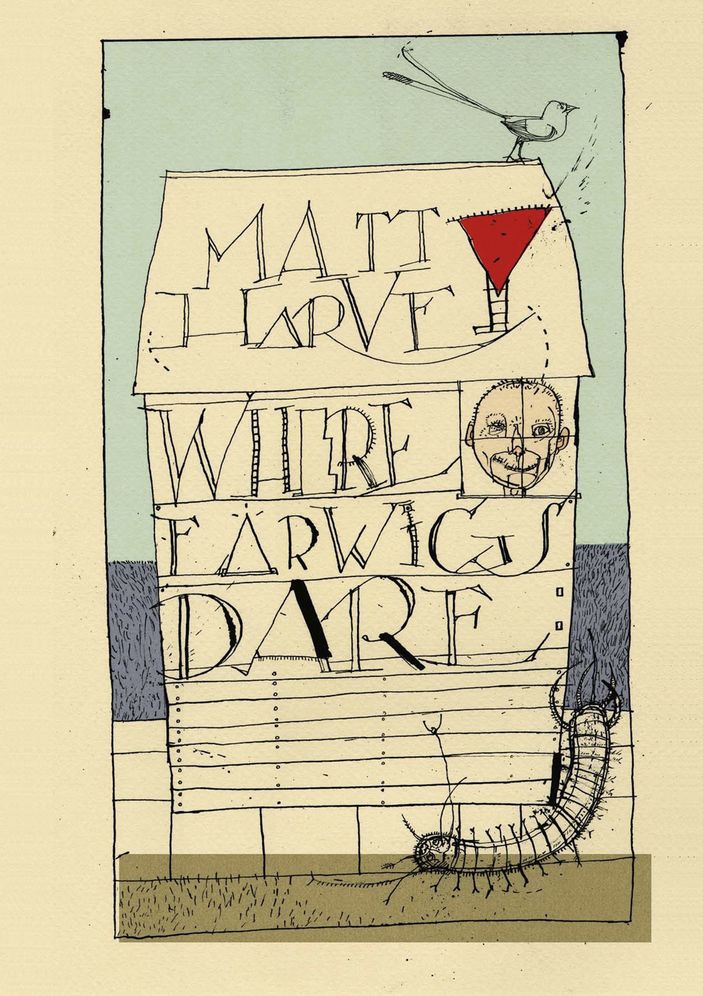Where Earwigs Dare