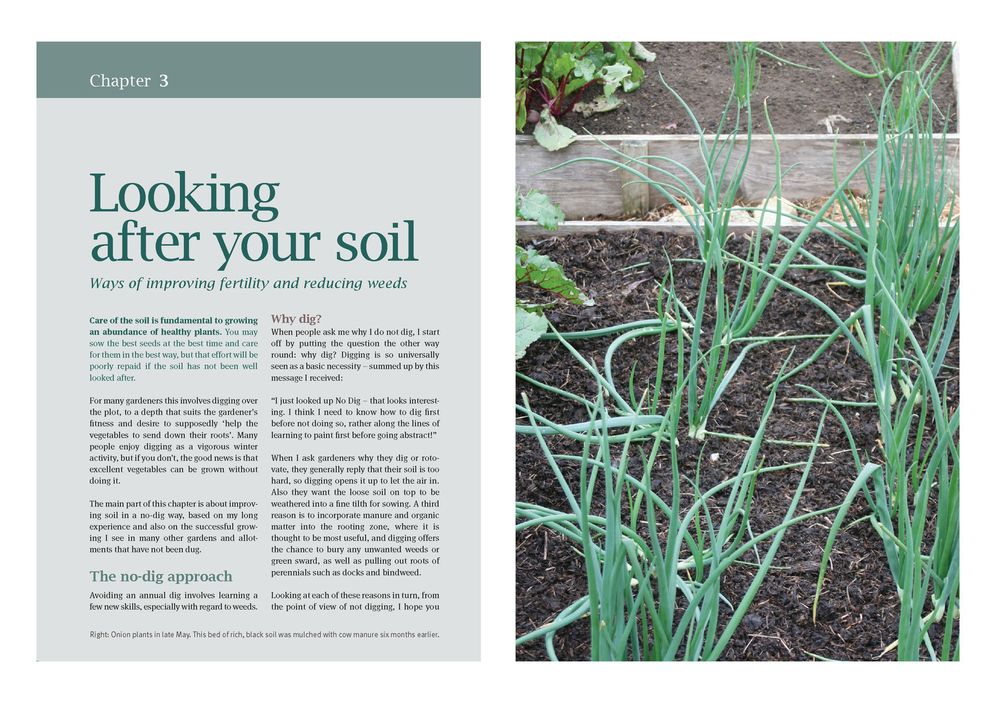 How To Grow Winter Vegetables