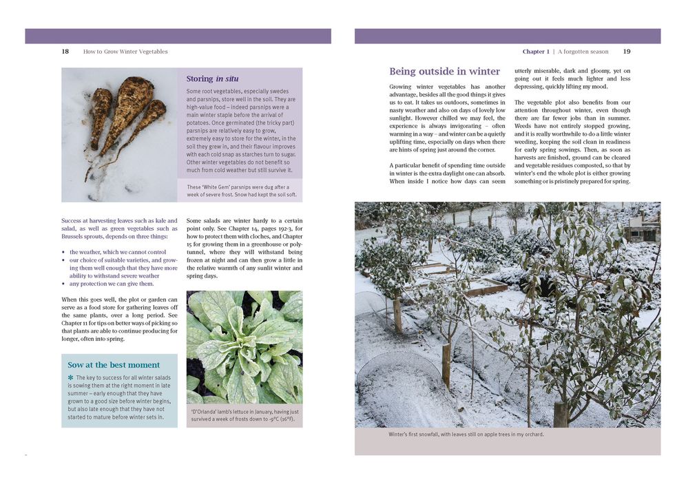 How To Grow Winter Vegetables