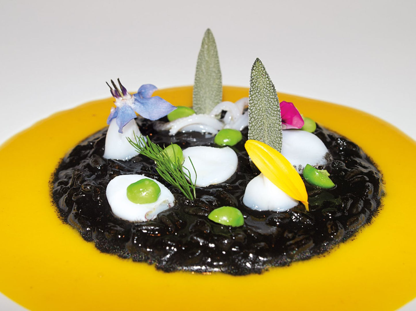 Eating at Hotel Il Pellicano