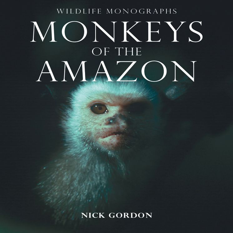 Monkeys of the Amazon