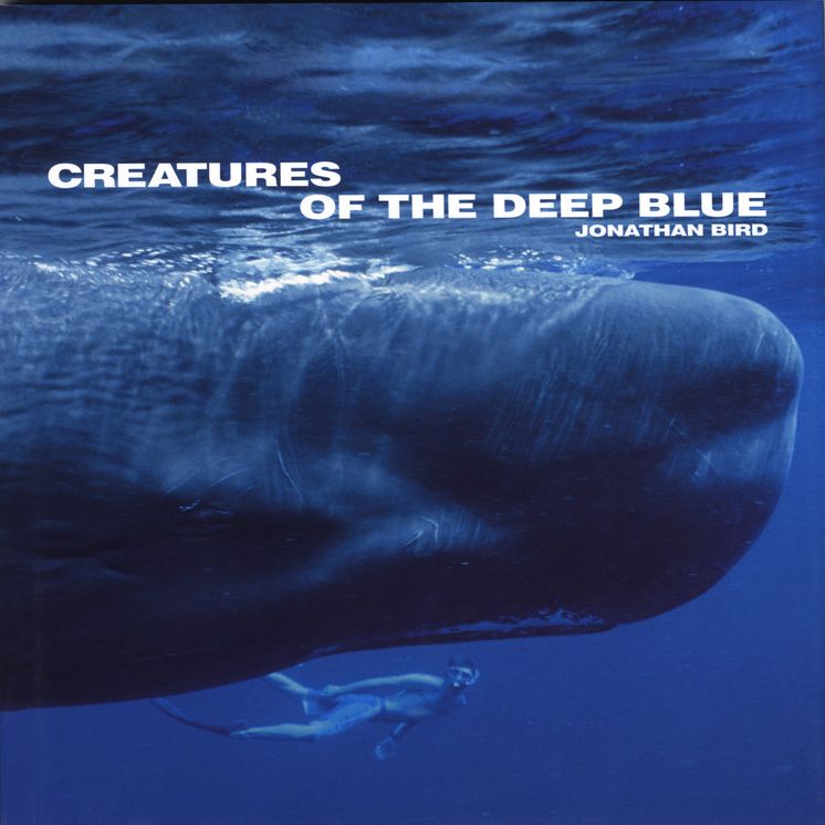 Creatures of the Deep Blue