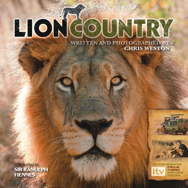 Lion Country: From the IVT Series