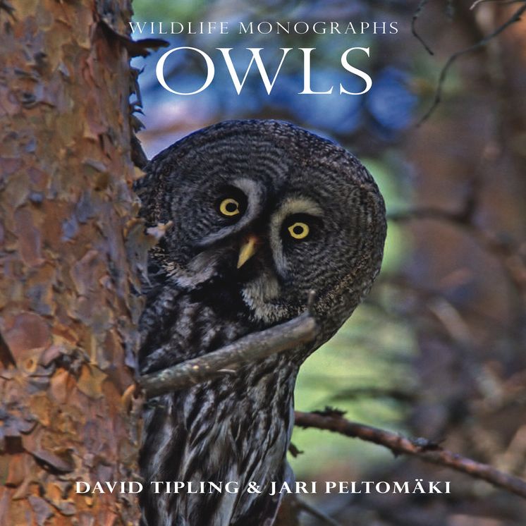 Owls