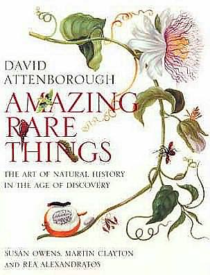 Amazing Rare Things : The Art of Natural History in the Age of Discovery