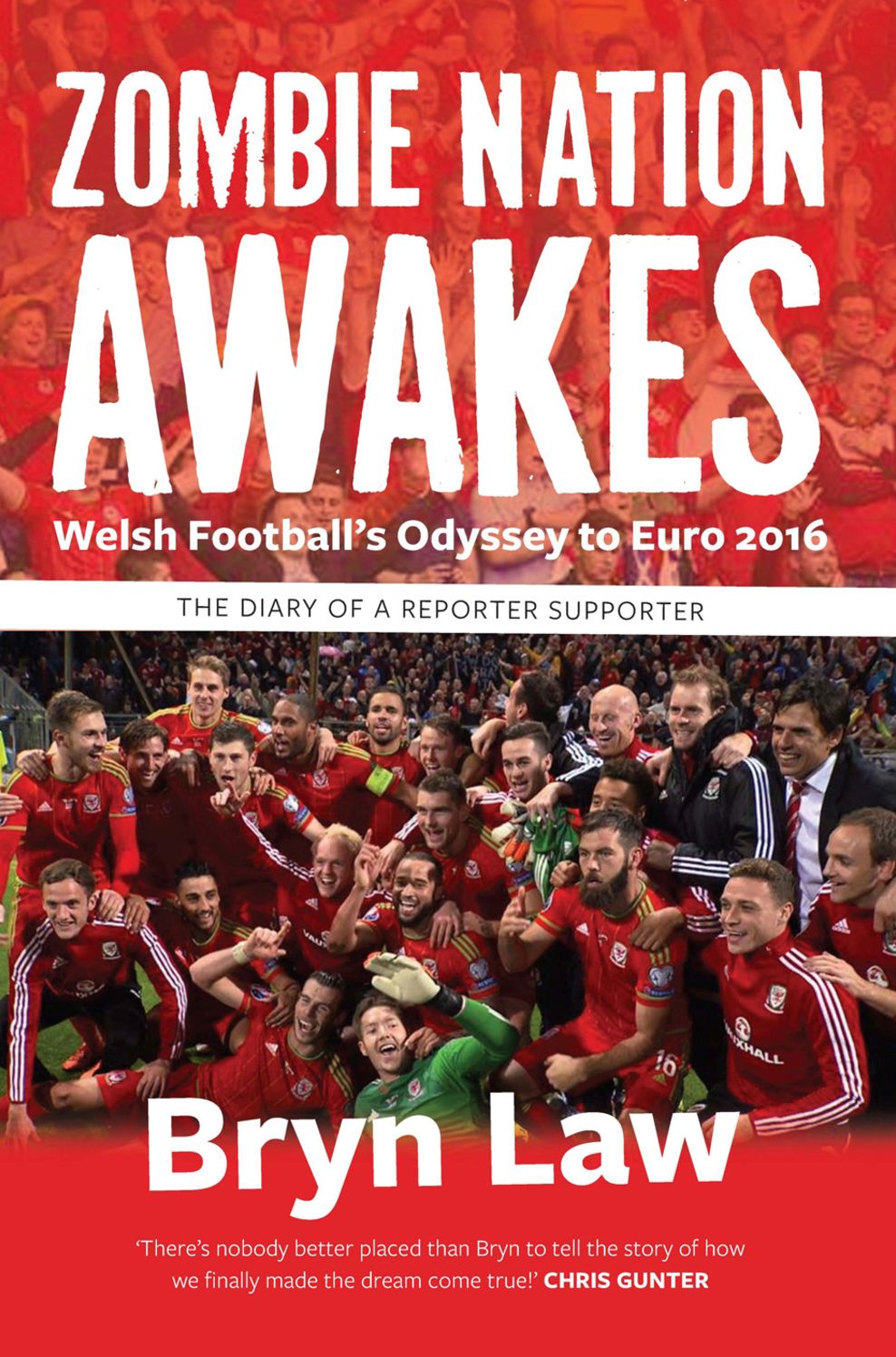 Zombie Nation Awakes - Welsh Football's Odyssey to Euro 2016: The Diary of a Reporter Supporter