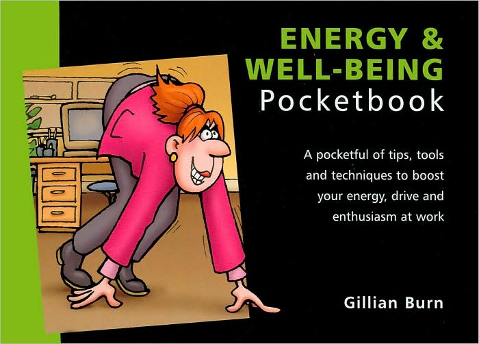 Energy and Well-Being Pocketbook [Pocketbook Series]
