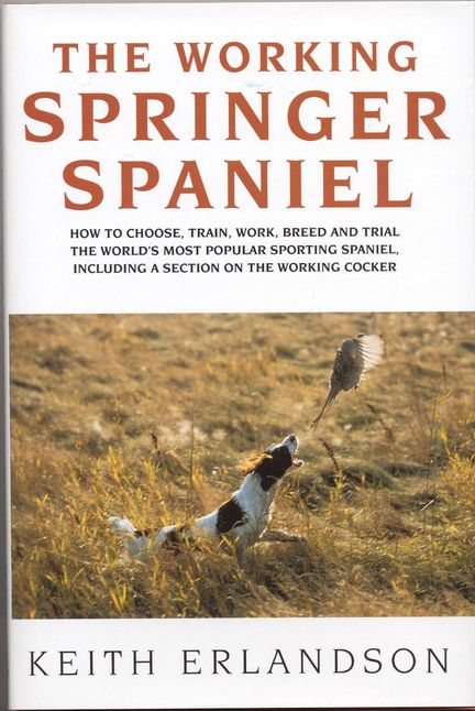 The Working Springer Spaniel