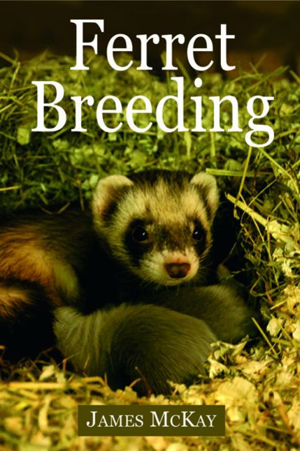 Ferret Breeding: A Modern Scientific Approach