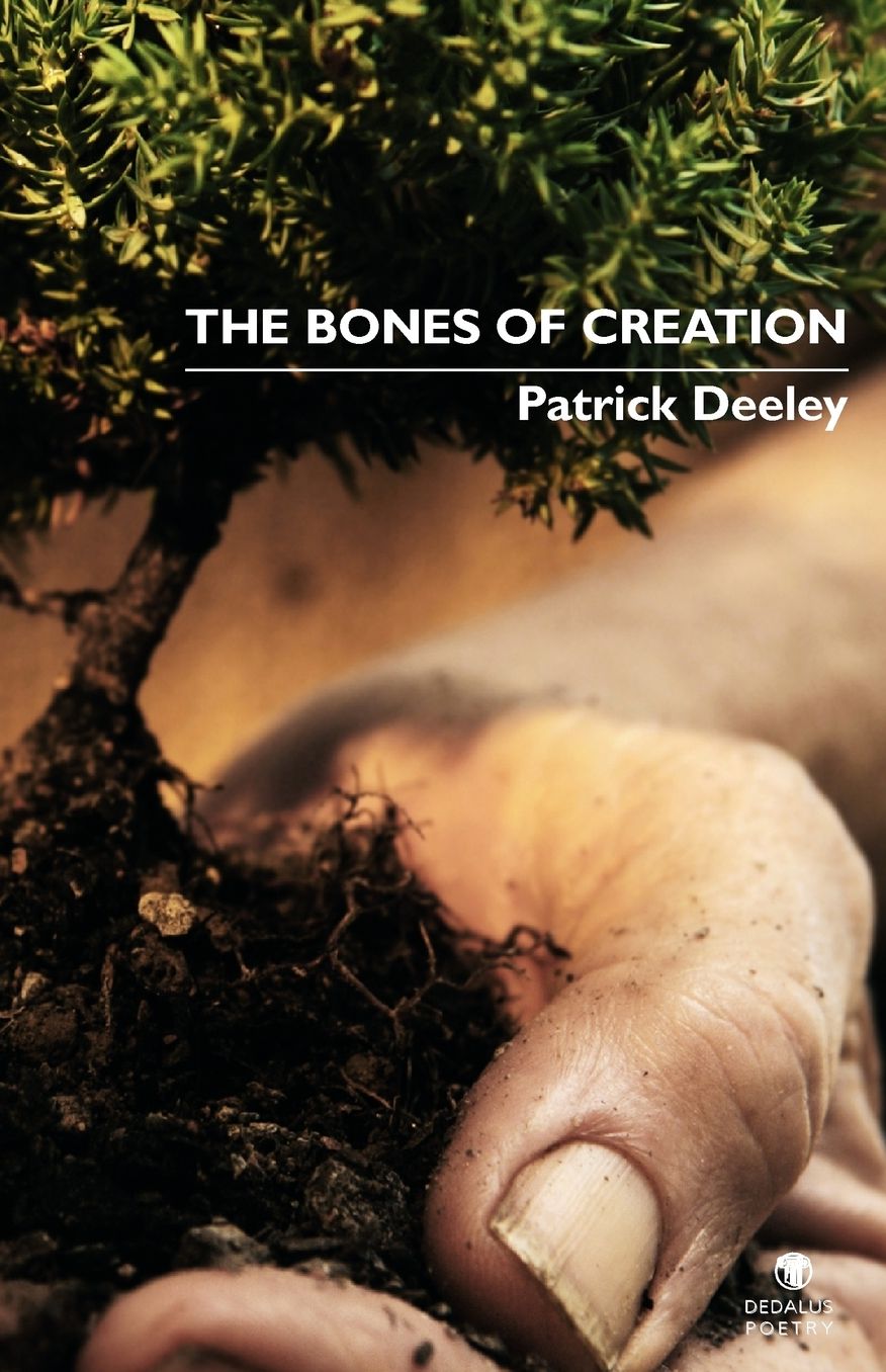 The Bones of Creation