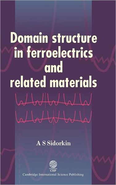 Domain Structure in Ferroelectrics and Related Materials