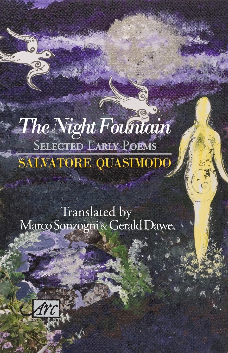 The Night Fountain