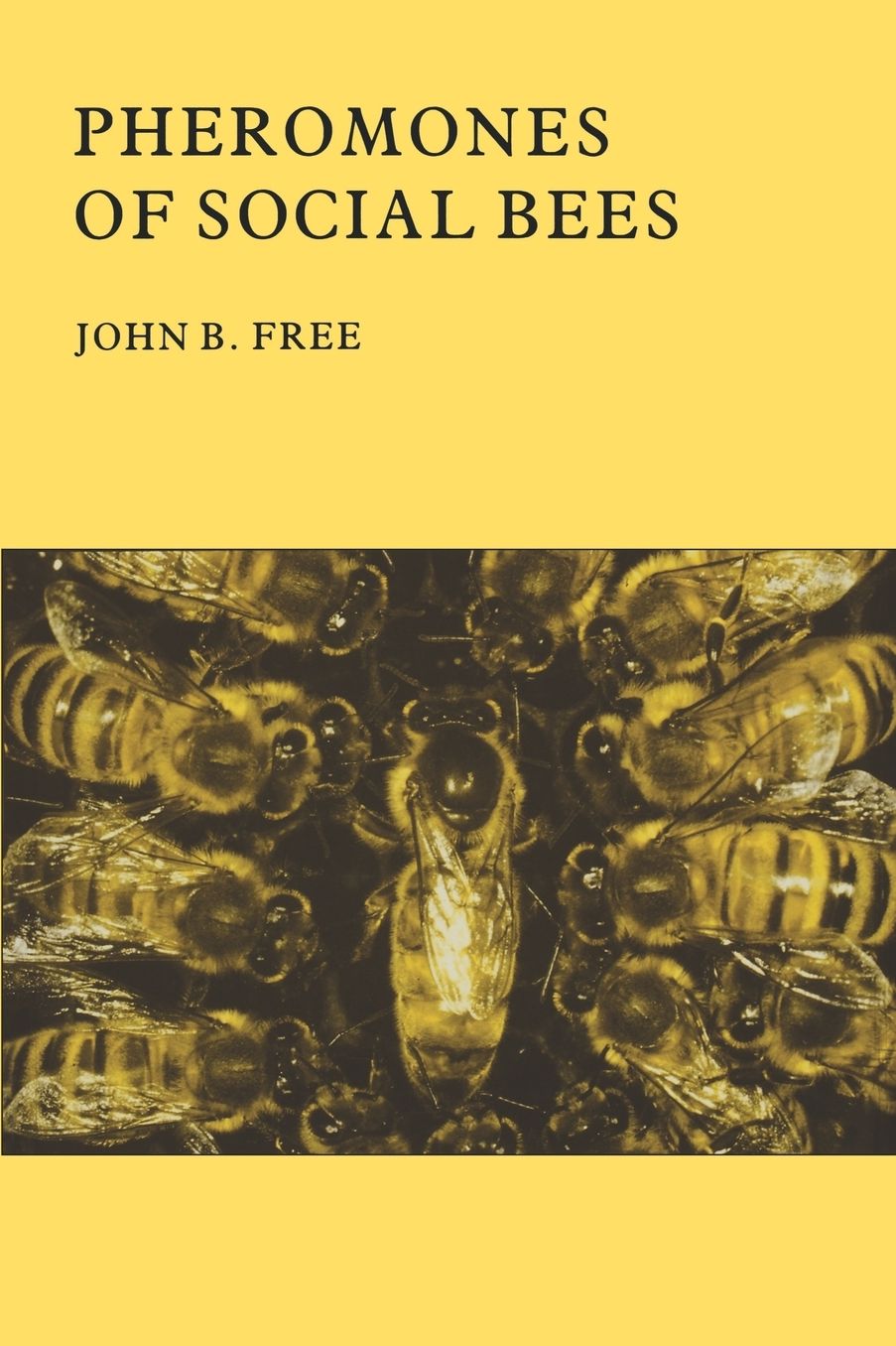 Pheromones Of Social Bees