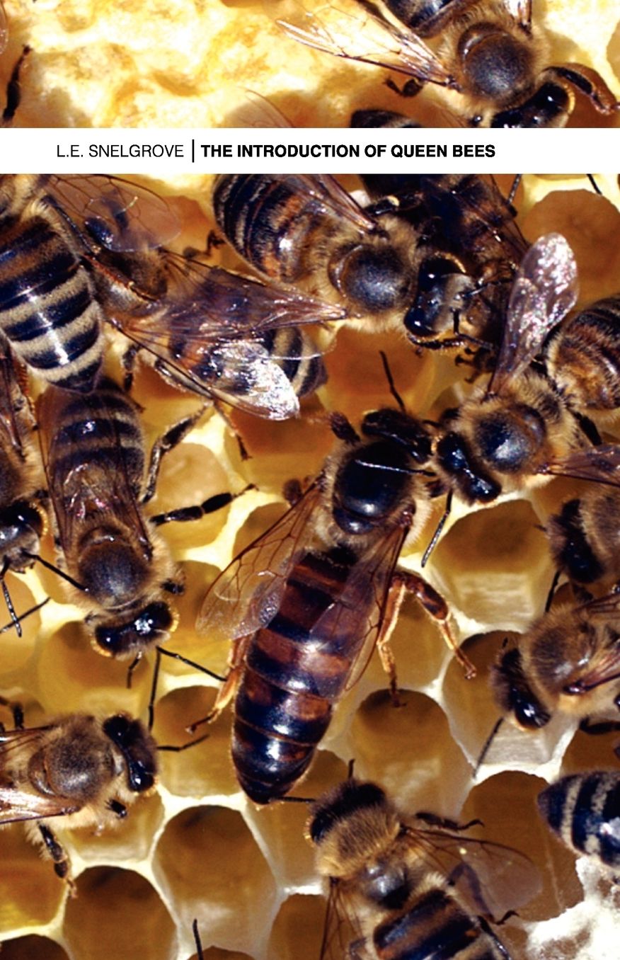 The Introduction Of Queen Bees