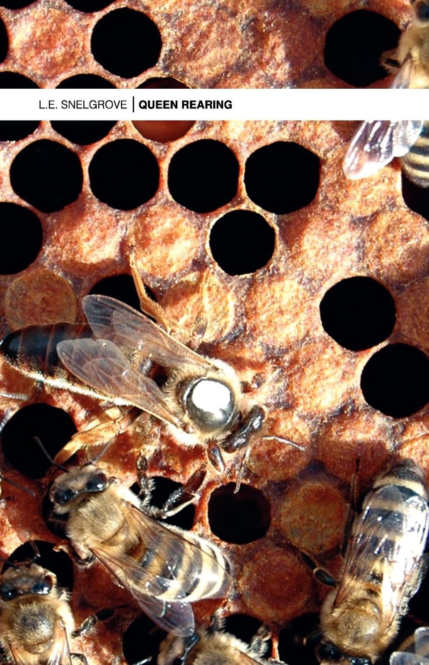 Queen Rearing