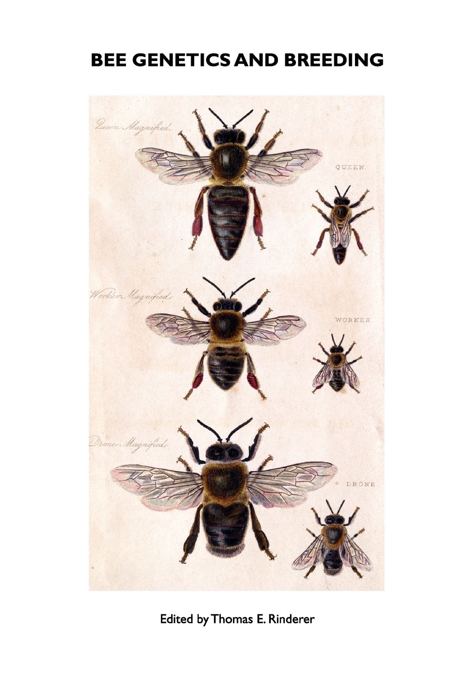 Bee Genetics And Breeding