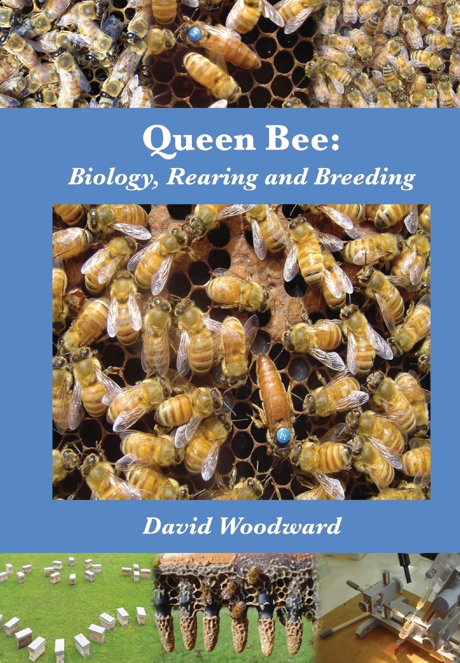 Queen Bee: Biology, Rearing and Breeding
