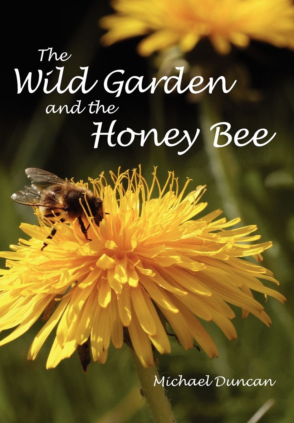 The Wild Garden And The Honey Bee