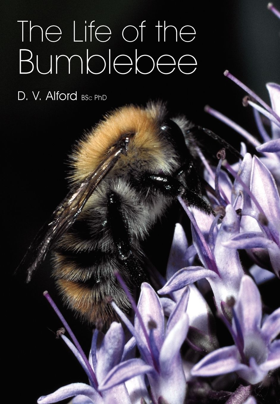 The Life Of The Bumblebee