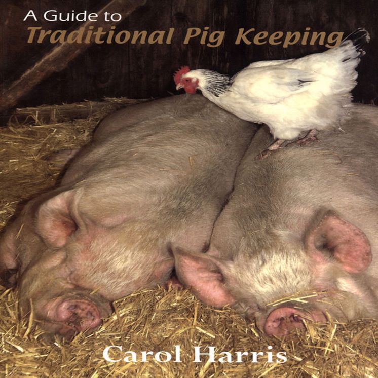 A Guide to Traditional Pig Keeping