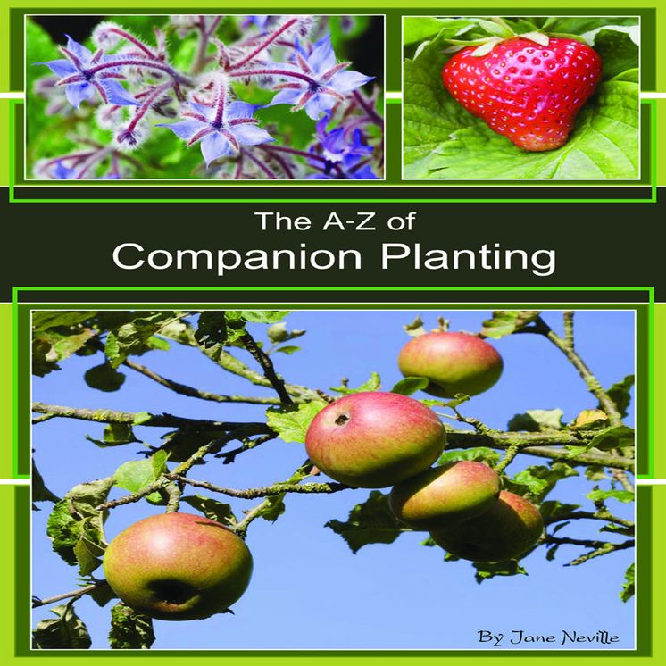 The A - Z of Companion Planting