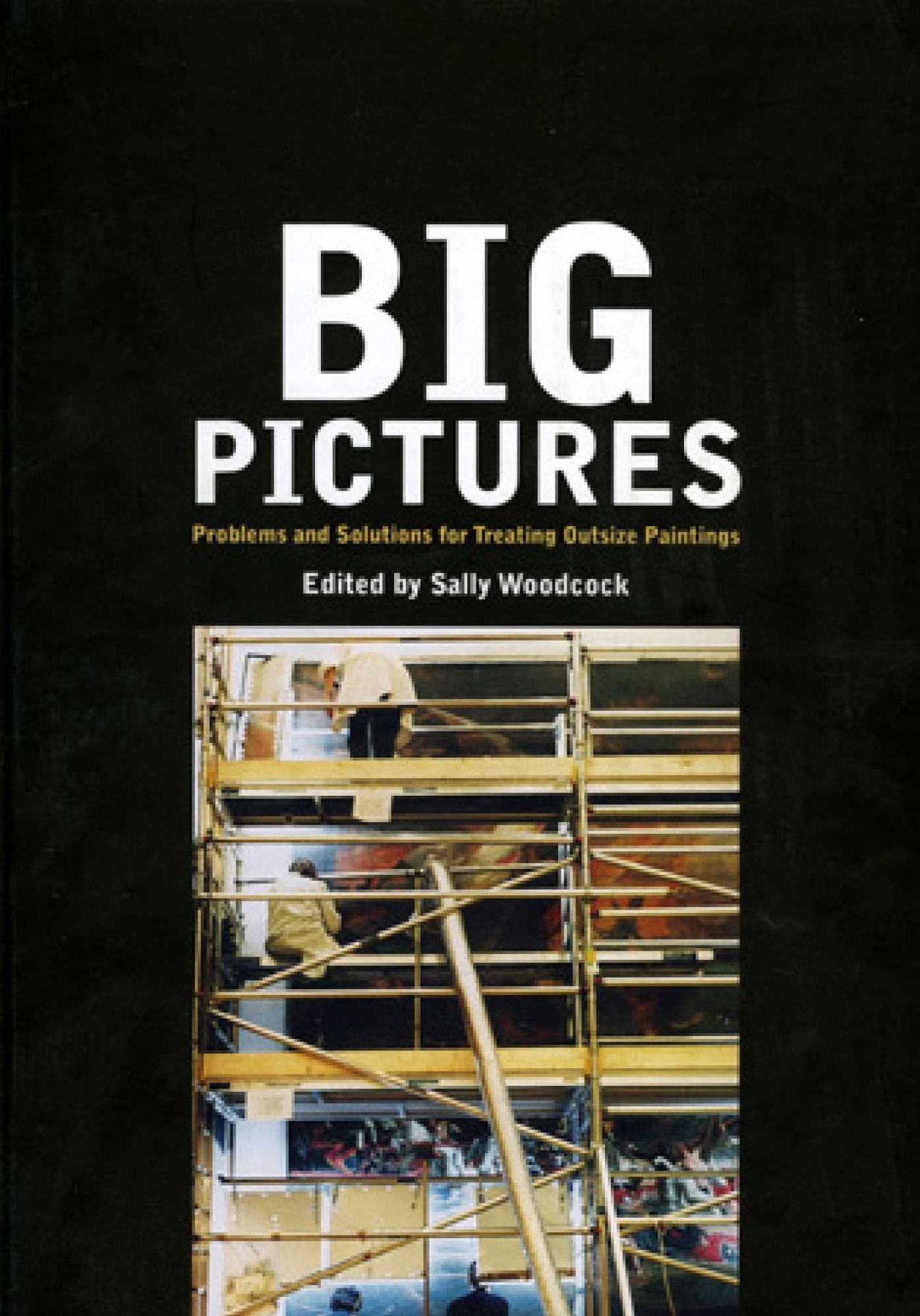 BIG PICTURES: PROBLEMS AND SOLUTIONS FOR TREATING