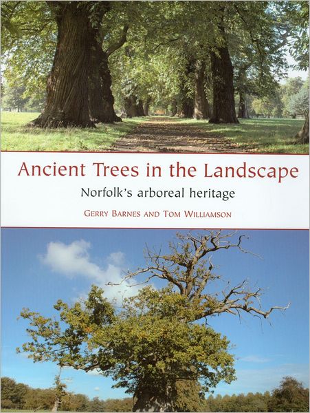 Ancient Trees in the Landscape: Norfolk's arboreal heritage
