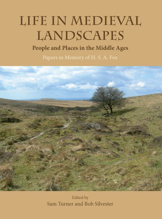 Life in Medieval Landscapes: People and Places in the Middle Ages
