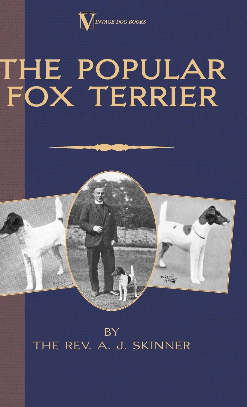 Popular Fox Terrier