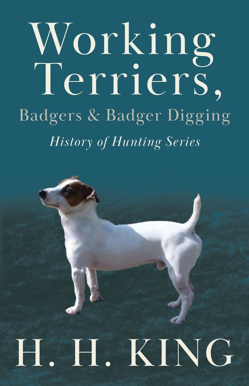 Working Terriers, Badgers and Badger Dig