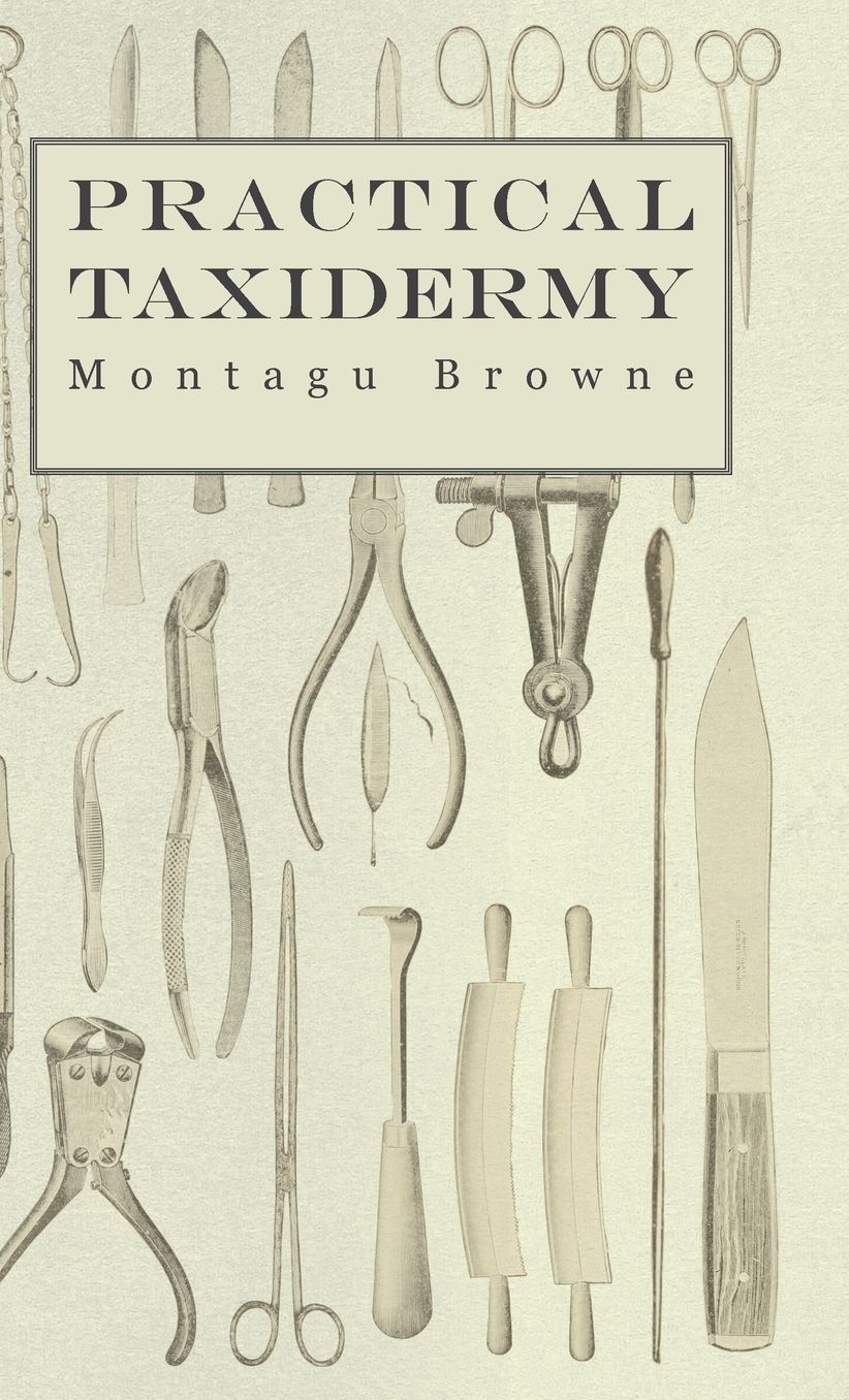 Practical Taxidermy - A Manual of Instruction To The Amateur In Collecting, Preserving, And Setting up Natural History Specimens of All Kinds