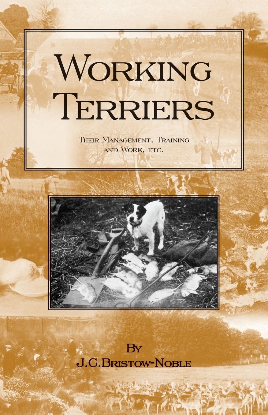 Working Terriers - Their Management, Tra