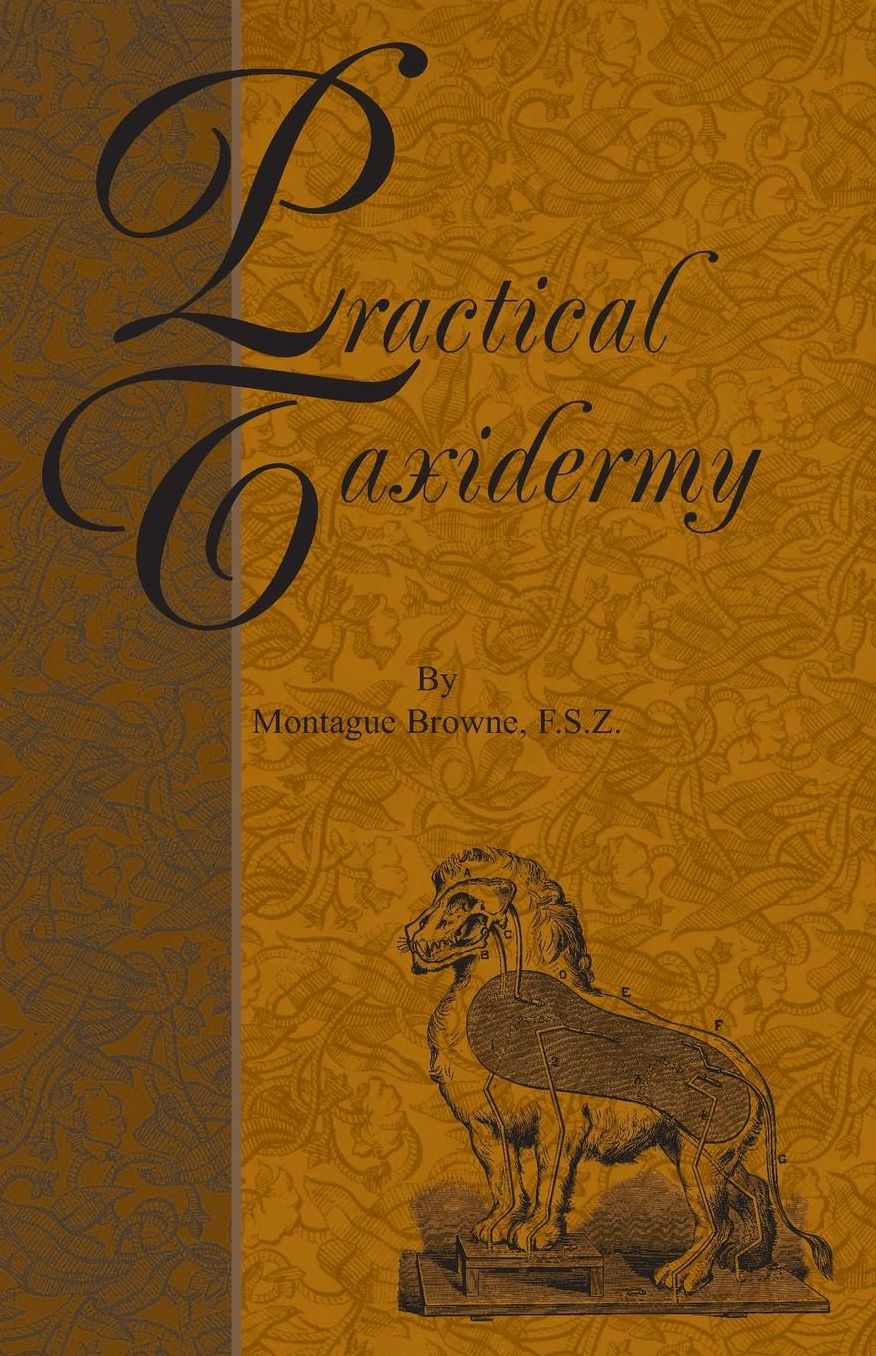 Practical Taxidermy - a Manual of Instru