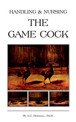 Handling and Nursing the Game Cock (Hist