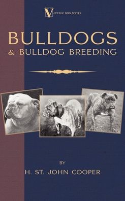 Bulldogs and Bulldog Breeding (a Vintage