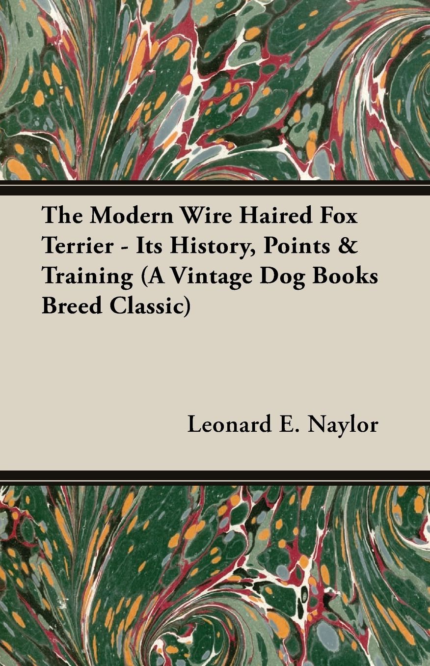 Modern Wire Haired Fox Terrier - Its