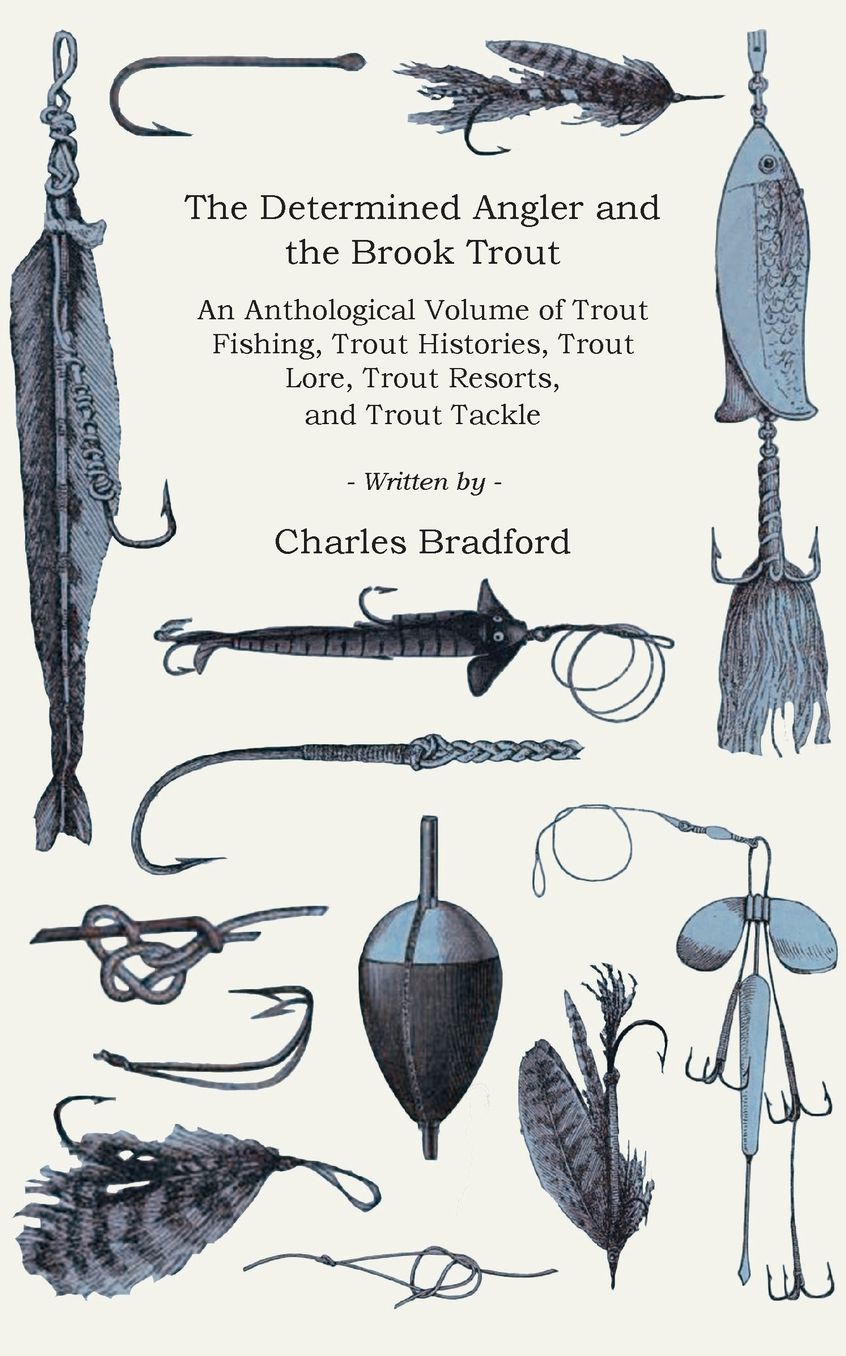 Brook Trout and the Determined Angler