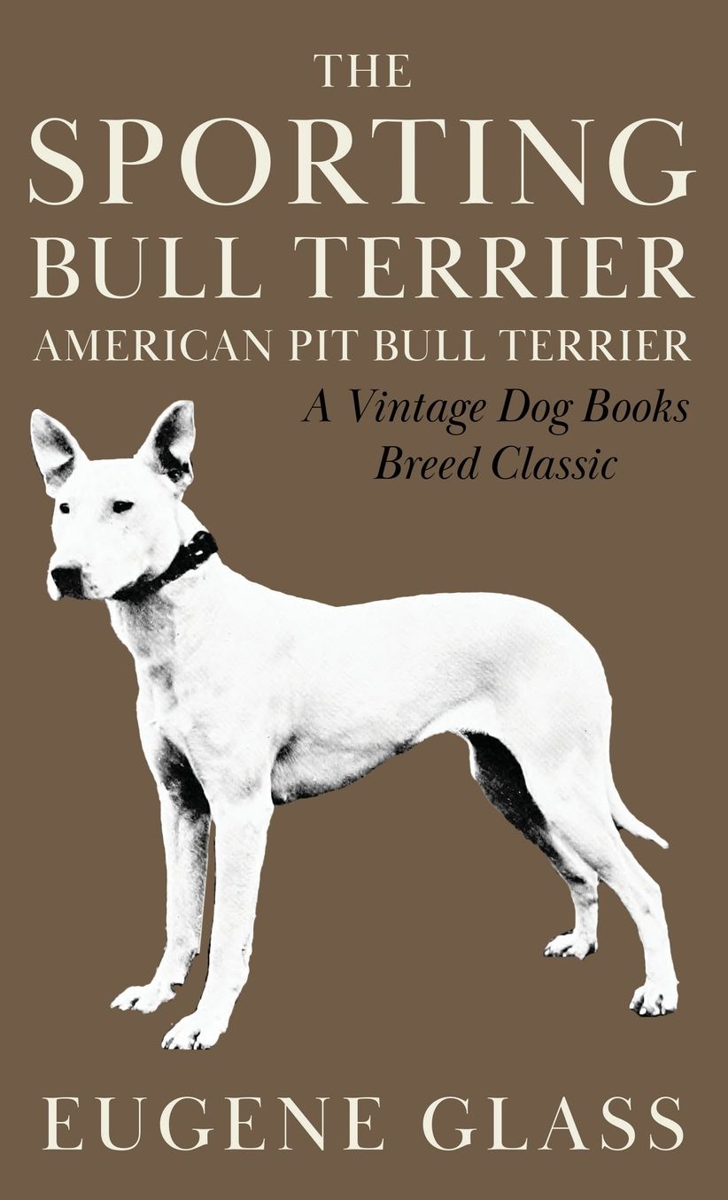 Sporting Bull Terrier