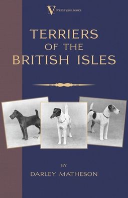 Terriers - an Illustrated Guide (a Vinta