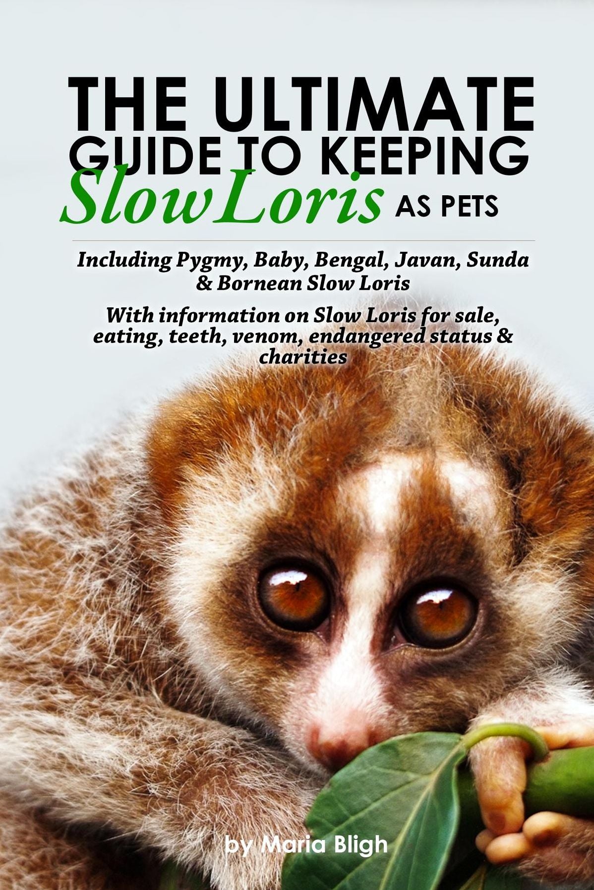 The Ultimate Guide to Keeping Slow Loris as Pets: including Pygmy, Baby, Bengal, Javan, Sunda & Bornean Slow Loris