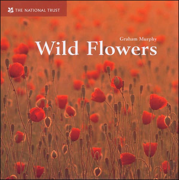 Wild Flowers