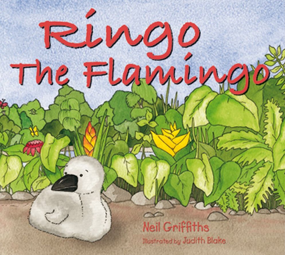 Ringo The Flamingo: Bravery rewarded!